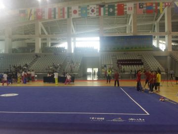 IWUF wushu taolu/kungfu field
