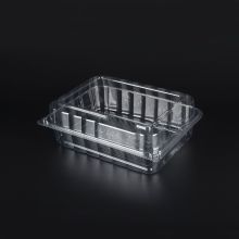 PET clear plastic tray food packaging