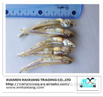 Dried Anchovy fish price