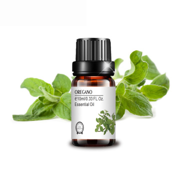 Wholesale bulk pure oregano essential oil bacteriostatic