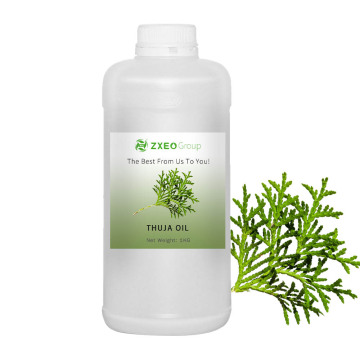 100% 천연 및 순수한 Thuja 목재 에센셜 오일 에센셜 오일 고품질 도매가 Thuja Wood Oil