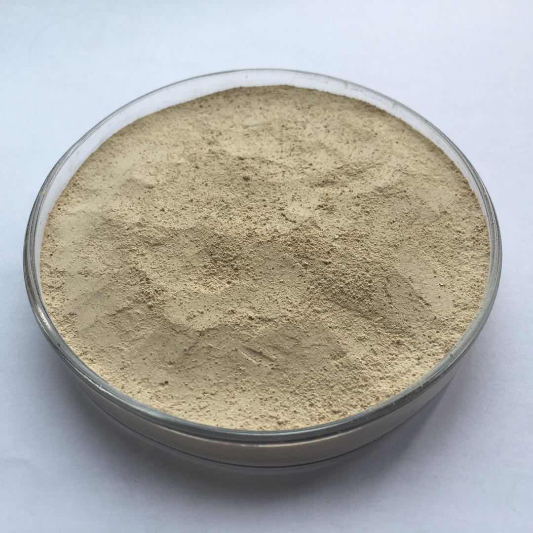 Organic concentrated 101 schizophyllum commune fr extract powder