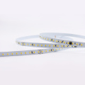 10mm adressierbares DMX 512 Blanca 2835 LED Pixel Strip Light DC 24V Bandlicht