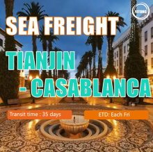 Better Sea Freight to Casablanca Morocco with Cargo