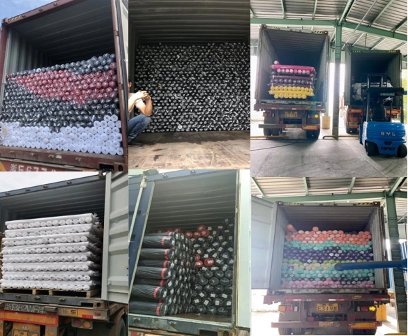 Made in China Good Price Warp Knitted Fabric 95% Polyester 5%Spandex Mobra Micro Velour Fabric for Clothes/Curtain/Sofa