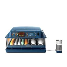 OEM Household Incubators for Hatching Parrot, Chicken, and Duck Eggs