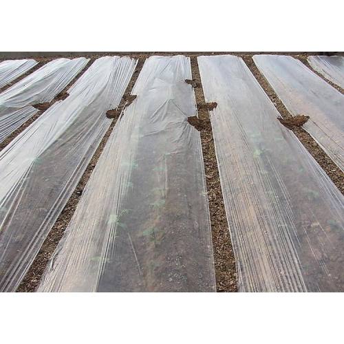 BioDegradable Plastic Mulch Film