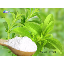 Stevia Leaf Extract stevioside 90% total steviol glycosides