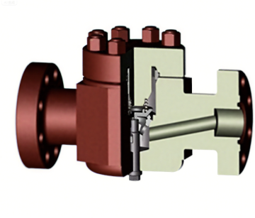 Poppet and Swing Check Valve