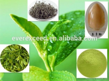 green tea extract, Matcha powder