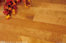 Laminated Flooring from MeiQi