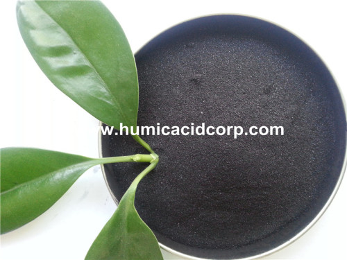 LEONARDITE POWDER HUMIC ACID