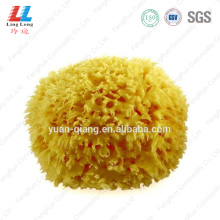 Seaweed yellow united bath sponge