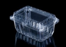 Strawberry Plastic Container Fruit Packaging