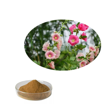 Althaea Rosae Root Extract