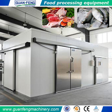 Fancy Design Standard Cold Room Freezer Blast Freezer Cold Room