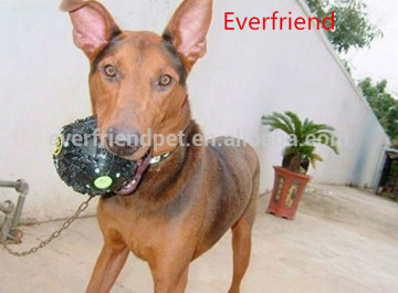 eco-friendly material pet ball pet toys