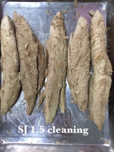 Frozen Cooked Frigate Tuna Meat