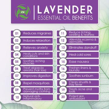 100% Pure Lavender Essential Oil Therapeutic Grade