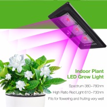 stimulate plant grow light for plant growth and flowering
