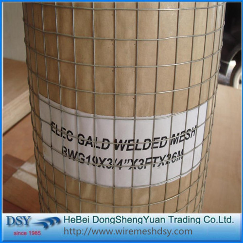 PVC dilapisi sangkar burung dilas wire mesh roll