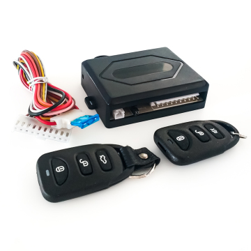 Car Remote Keyless Entry and Alarm System