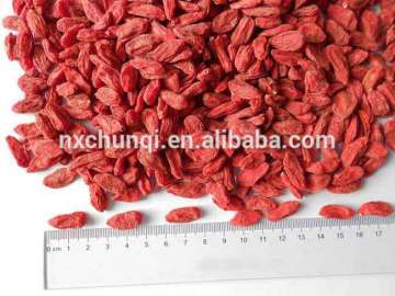 ningxia dried goji berries golden supplier