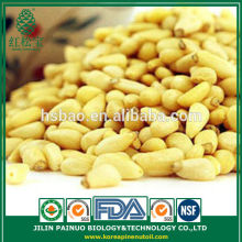 Container Home Leisure Foods Korean Pine Nut Kernels
