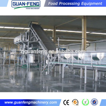 fruits and vegetables quick freezing production processing line