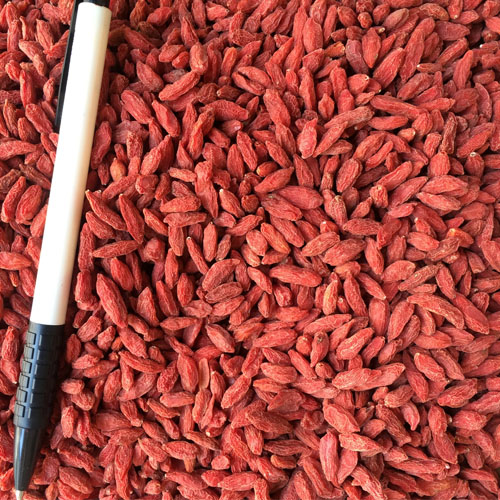 tempo Goji goji time