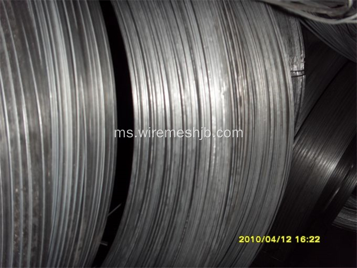 5.1mmx1.5mm Galvanized Flat Steel Wire