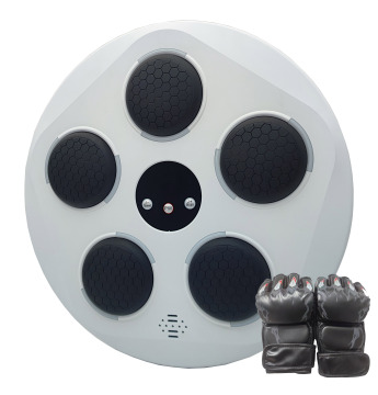 Intelligent Music Boxing Target: High Quality Adult Boxing Wall Target Training with Leather and Music