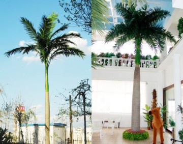artificial coconut palm tree