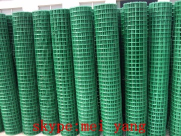 High Quality welded mesh, pvc coated welded wire mesh, bird cage wire mesh