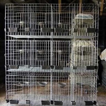 Stainless Steel Welded Chicken Cages