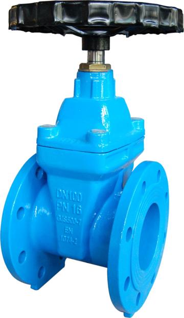 Resilient Seated Gate Valve