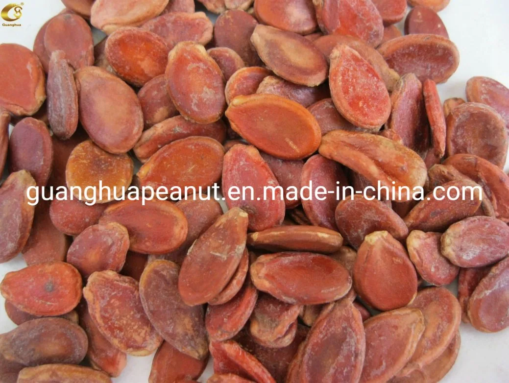 Best Quality Watermelon Seeds with Ce