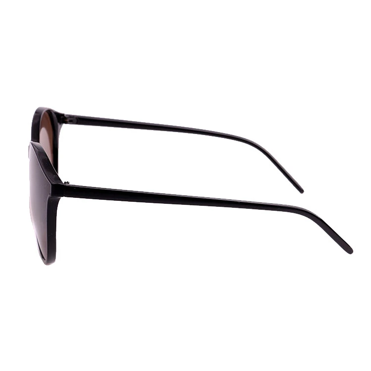 PC Frame with Temple PC Lense Metal Hinge Sunglass