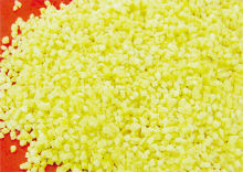 4*4 Frozen ginger dices