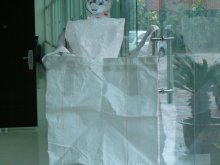 PP bulk container liner bag