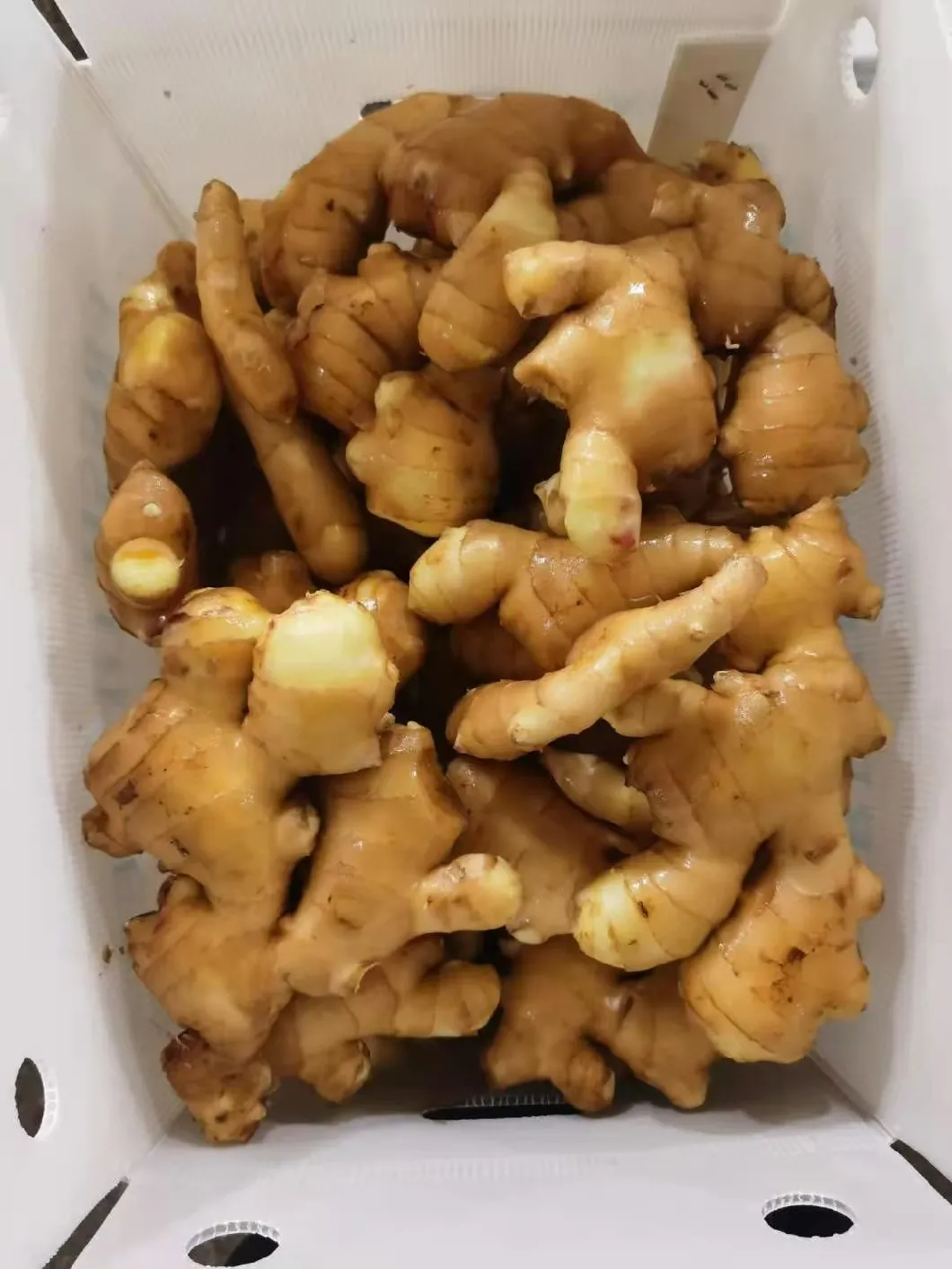 Fresh Ginger Whole Washed Fresh Ginger Split