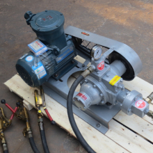 LPG Transfer Pump with Single Phase Motor