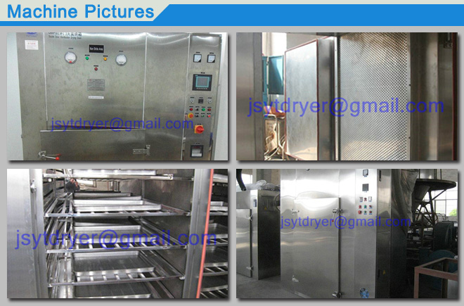 Double Door Sterilization Drying Oven