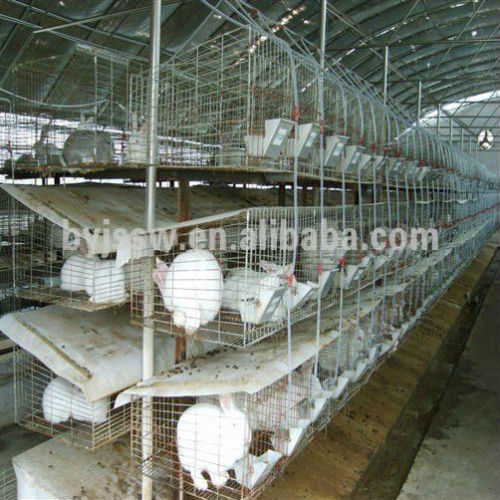 rabbit farm cage