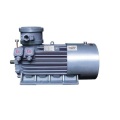 YB Series Explosion-proof motors