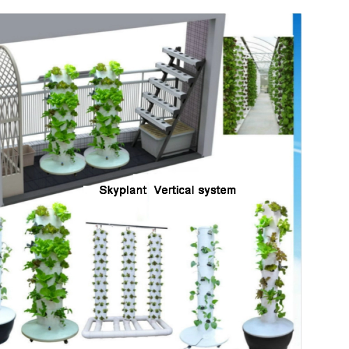 Taman menara hydroponic menanam sistem tangki air bunga