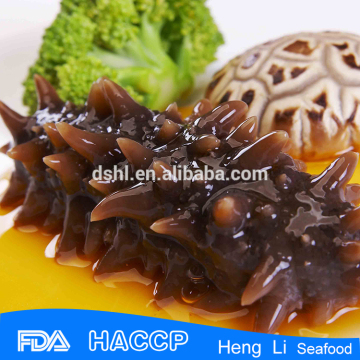 HL011Nutritious sell sea cucumber species