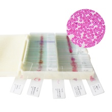 Human Histology Teaching Resources: Microscope Slides for Medical Science