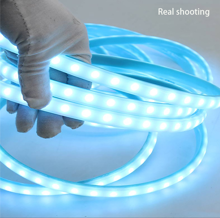 220V RGBIC water running neon light strip Rgbw Neon Led Rope Light Strip