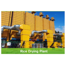 Professional Design Services for Mini Paddy Rice Dryer Machines and Parboiled Rice Production Lines